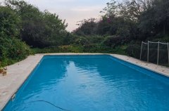 בני בוטניקס 2