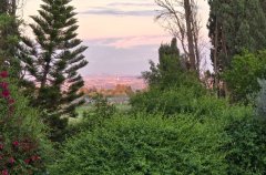 בני בוטניקס 4