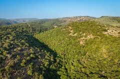 אחוזת מנות בוטיק 36