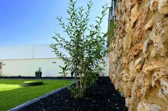 אחוזת מנות בוטיק 42