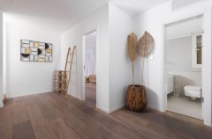 פנטהאוז אמדר 31