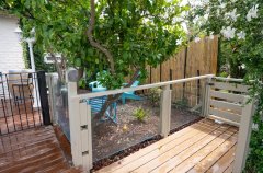 החולה האוס 36