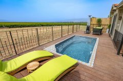 החולה האוס 43