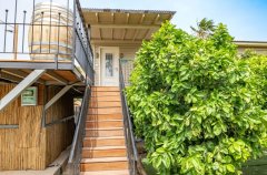 החולה האוס 37