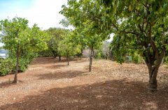 החולה האוס 44