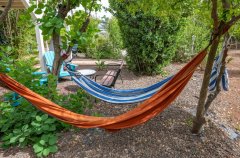 החולה האוס 29