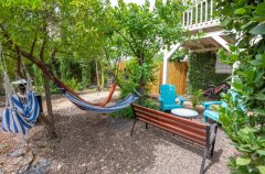 החולה האוס 45