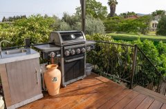 החולה האוס 56