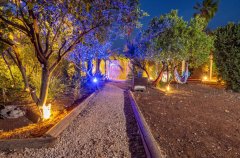 החולה האוס 100