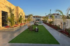 בית בד עצי הזית 6