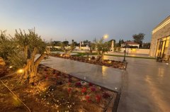 בית בד עצי הזית 30