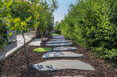 וילה החרוב 17