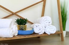 וילה החרוב 24