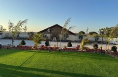 אירוח כנפי נשרים 26