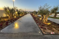 אירוח כנפי נשרים 34