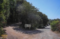 אחוזת טוקאי 63