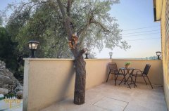 אחוזת טוקאי 29