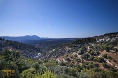 אחוזת טוקאי 38