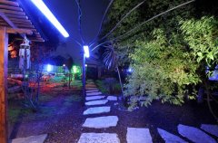 וילה ביער 14