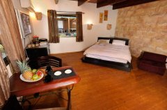 וילה ביער 21