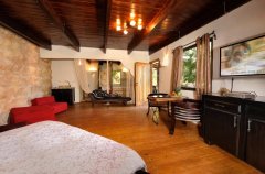 וילה ביער 22