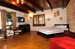 וילה ביער 24