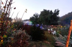 וילה ביער 32