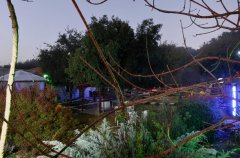 וילה ביער 33