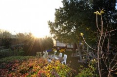 וילה ביער 35