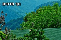 וילה הרוח הגלילית 19