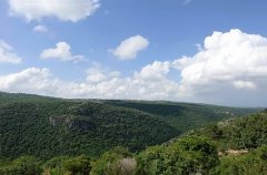 וילה הרוח הגלילית 39