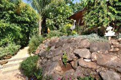 וילה בי וילה B 47