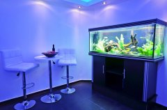 וילה לופט אכזיב 13