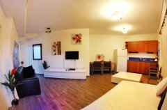 וילה אבוקדו 12