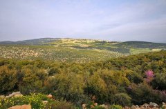 וילה טרסה 32