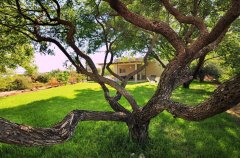 הוילה באלמגור 16