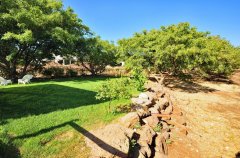 הוילה באלמגור 41