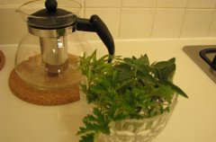 הוילה באלמגור 33