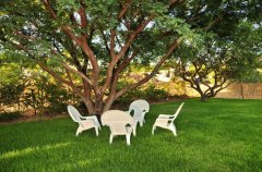 הוילה באלמגור 36