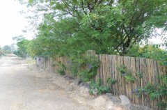 הוילה באלמגור 43