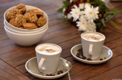 וילה טרה קוטה 13