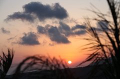 אחוזת עידן הנוף 12