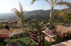 אחוזת עידן הנוף 11