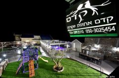 קדם אחוזת יוקרה 62