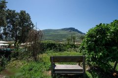 הבית במושבה מגדל 5