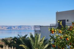 וילה מגדל 42