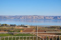 וילה מגדל 45