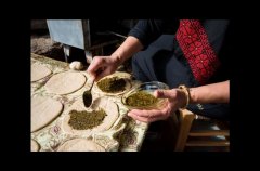 וילה מגדל 51