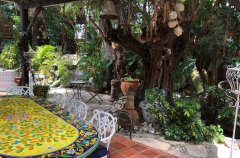 וילה De Caesarea 37