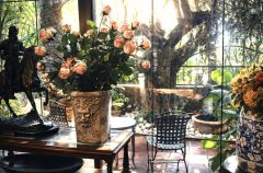 וילה De Caesarea 43